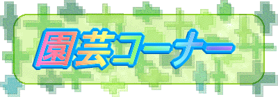 ���|�R�[�i�[